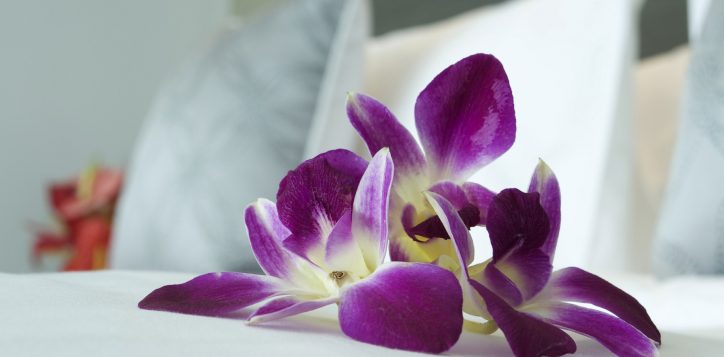 7roomssuites-3rdroom-deluxesuite-2