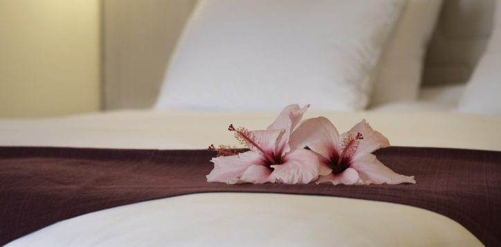 8roomssuites-4throom-premiumdeluxesuite-2